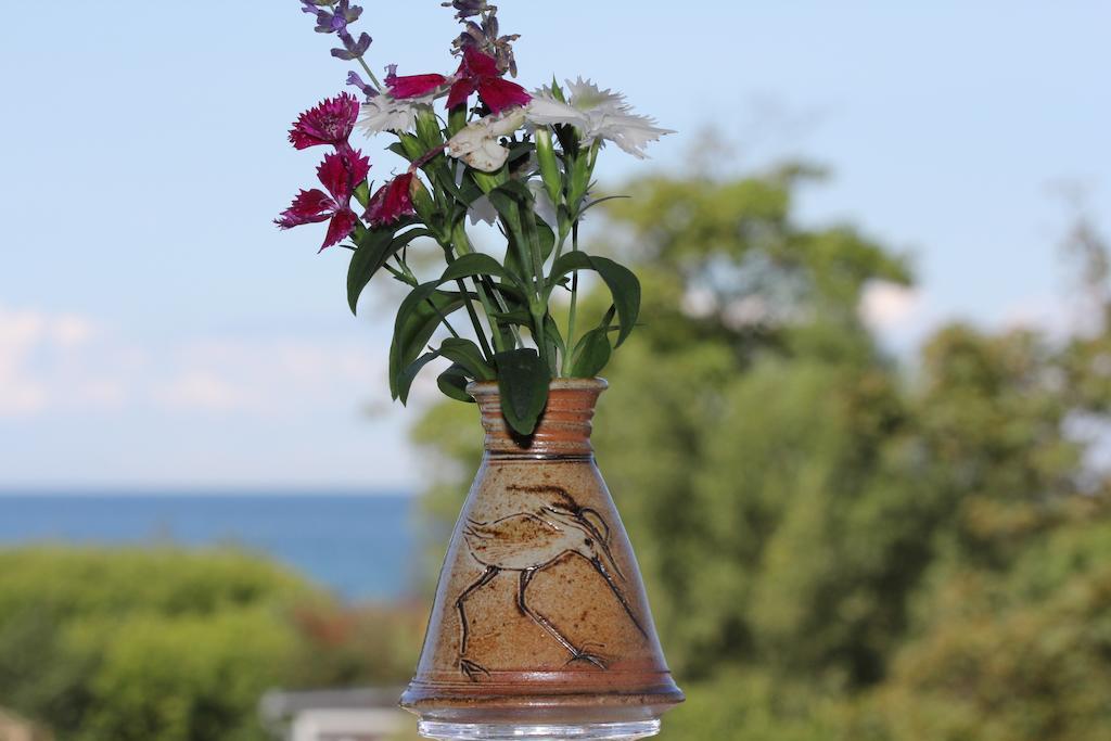 Hotel Zum Strandlaufer Ahrenshoop Pokój zdjęcie